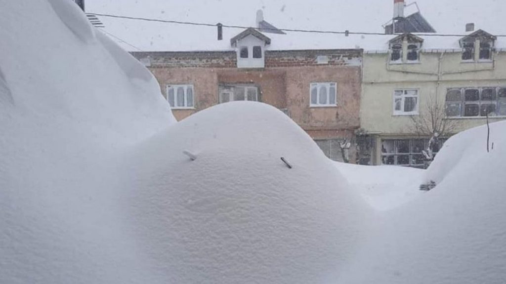 Doğu Karadeniz’de kar yağışı hayatı olumsuz etkiliyor
