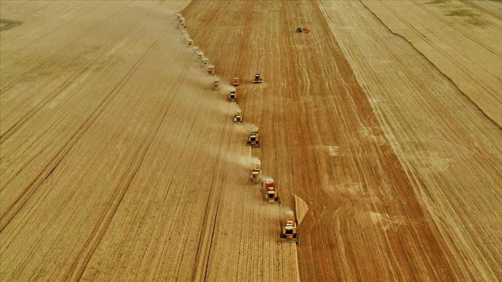 İlave tarımsal desteklerin detayları açıklandı
