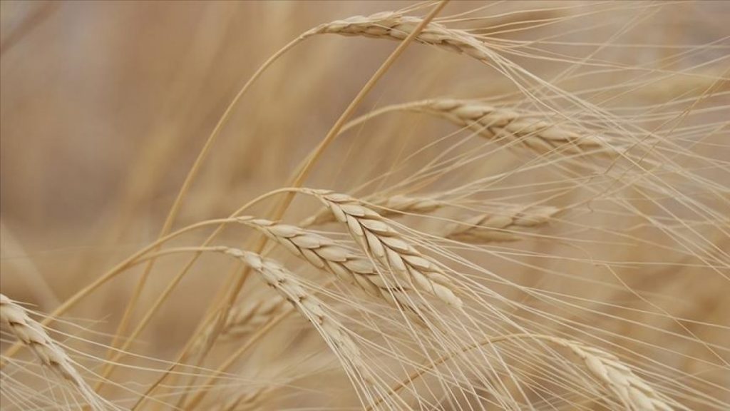 Tarımsal girdi fiyat endeksi arttı