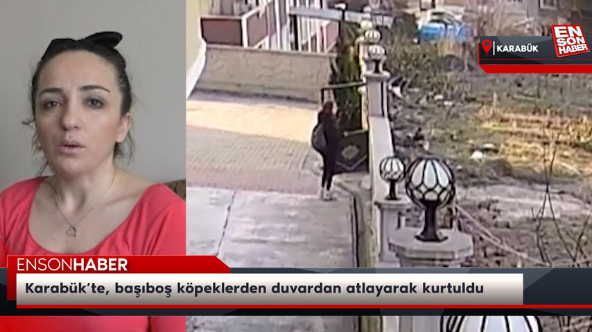 Karabük’te, başıboş köpeklerden duvardan atlayarak kurtuldu