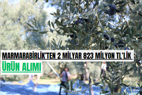 Marmarabirlik’ten 2 milyar 823 milyon TL’lik ürün alımı