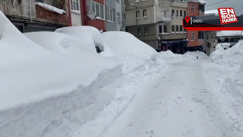 Doğu Karadeniz’de kar yağışı hayatı olumsuz etkiliyor