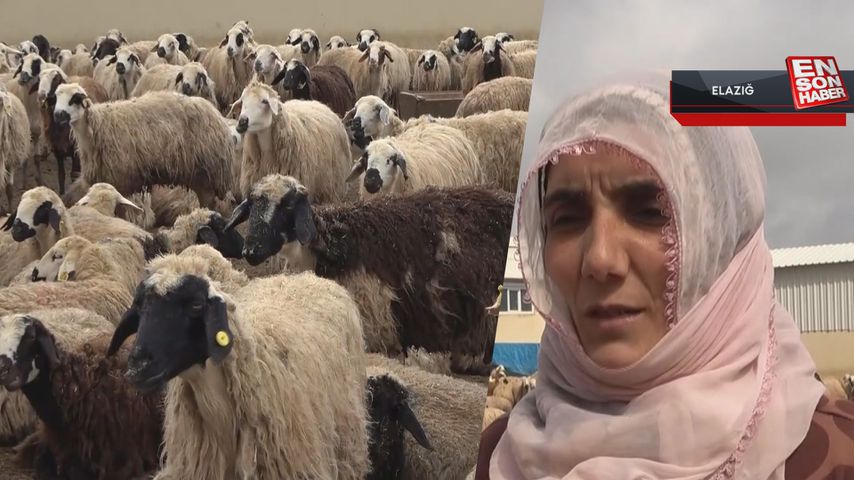 Elazığ’da devlet desteği ile çiftlik sahibi oldu