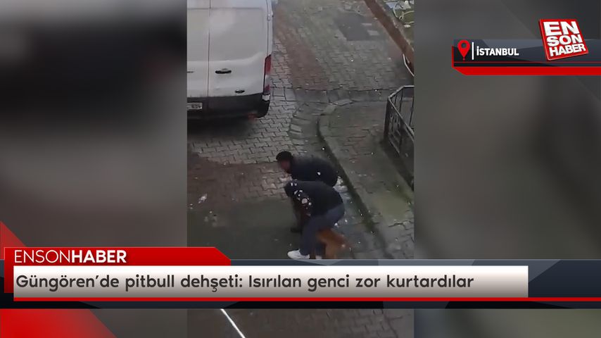 Güngören’de pitbull dehşeti:  Isırılan genci zor kurtardılar