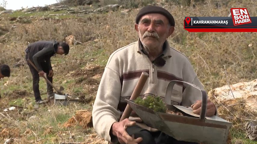 Kahramanmaraşlı ‘fidan dede’, 35 yılda 550 bin fidan dikti