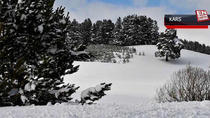 Kars’ta soğuk hava etkili oluyor