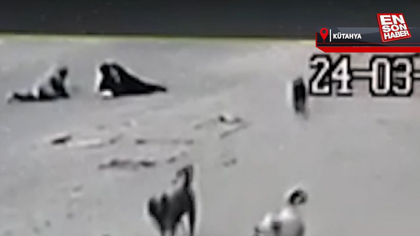 Kütahya’da köpeklerden kaçan anne ile oğlu, kazadan son anda kurtuldu