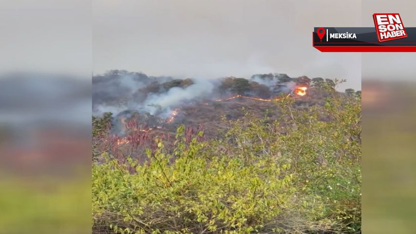 Meksika’da uyuşturucu bağımlısı ormanlık alanı ateşe verdi