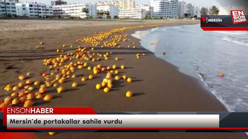 Mersin’de portakallar sahile vurdu