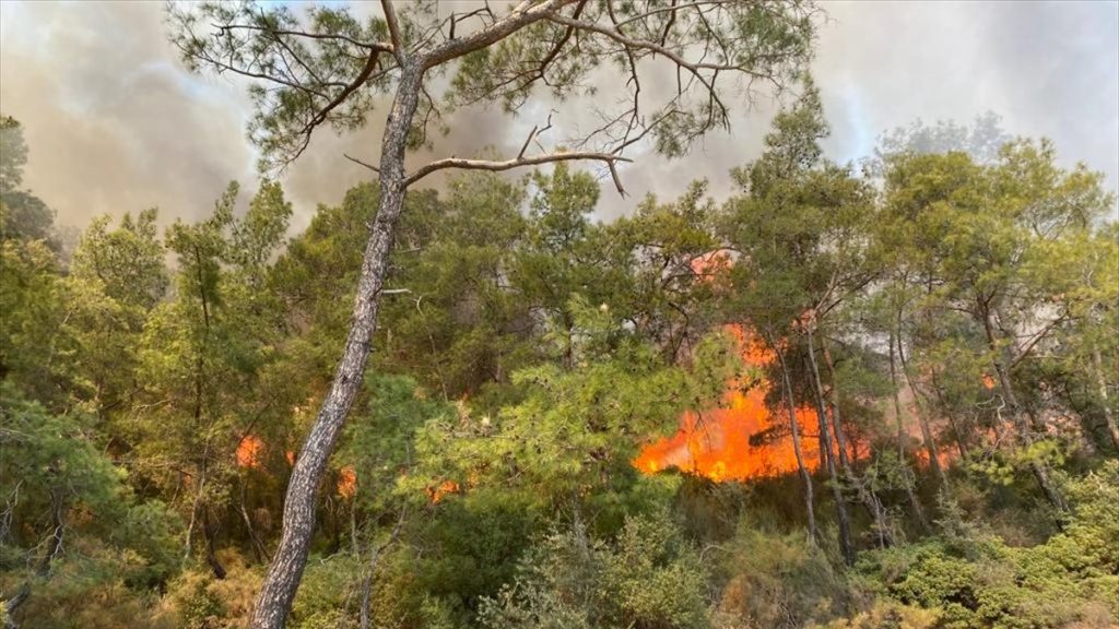 Muğla’da, ormanlık alanda çıkan yangın söndürüldü