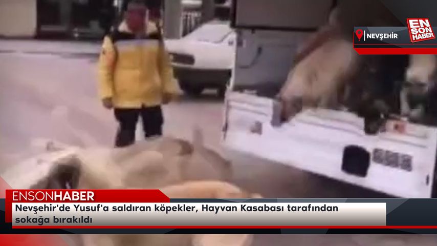 Nevşehir’de Yusuf’a saldıran köpekler, Hayvan Kasabası tarafından sokağa bırakıldı