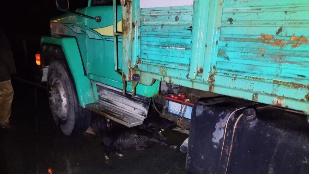 Rize’de yoldan geçen keçi sürüsüne araçlar çarptı