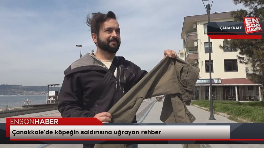 Çanakkale’de köpeğin saldırısına uğrayan rehber: Haklarımı araştıracağım