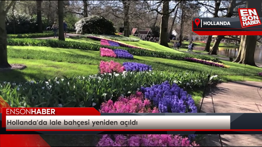 Hollanda’da lale bahçesi yeniden açıldı
