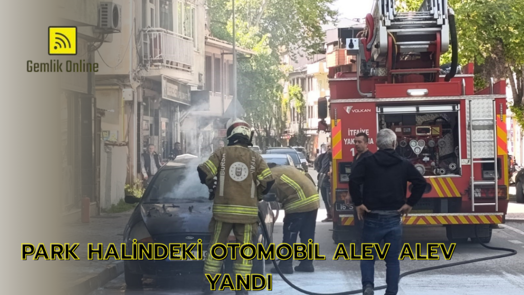 Park halindeki otomobil alev alev yandı